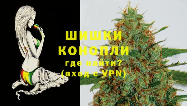 дживик Абинск