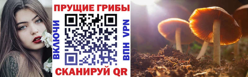 что такое Духовщина mega ссылка Псилоцибиновые грибы MAGIC MUSHROOMS