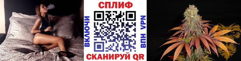 Бошки Шишки конопля Духовщина
